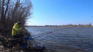 Як ПРАВИЛЬНО ловити ЧЕХОНЬ на ФІДЕР. Десна у квітні.