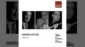 Flute Trio in C Major, Op. 53: III. Allegro vivace