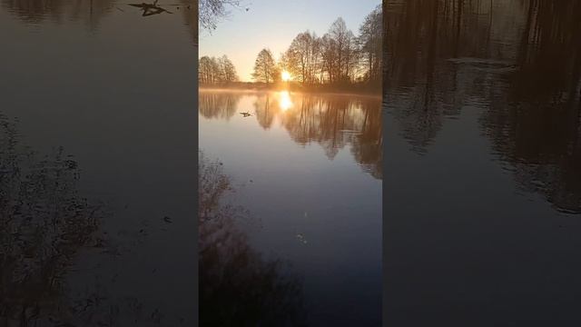 Такого рассвета на реке ты ещё не видел... смотреть онлайн