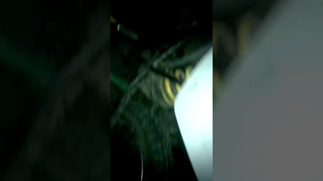 Робота Минска125 ЛК после полной настройки карбюратора смотреть онлайн