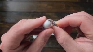 SoundPEATS Clear Wireless Earbuds Review