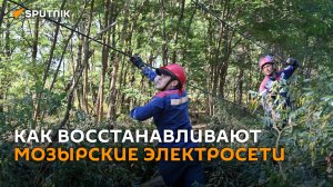 Мозырские электросети после урагана восстанавливали всей страной