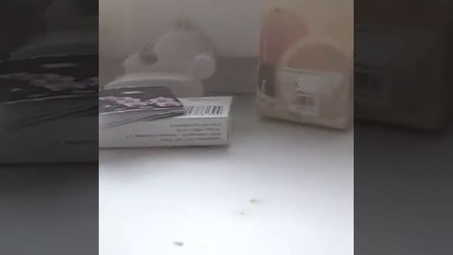 Клип:дин дон