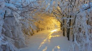 "Позабыт позаброшен"2019