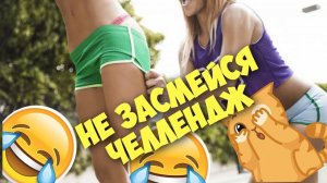 Смешные забавные животные никого не оставят равнодушным / Лучшие приколы #9