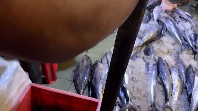 बडी मछली का बाजार |Big Fish Market CST Mumbai смотреть онлайн