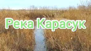 Половодье на реке Карасук за селом Шилово-Курья Карасукский район Новосибирской области