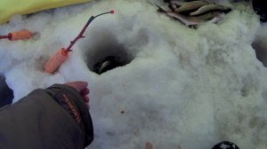 Поездка в Бурятию на Байкал и зимняя рыбалка на хариуса 1 часть