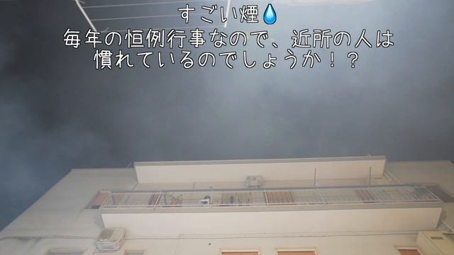 Akita dog begging mom is too cute ♪ смотреть онлайн