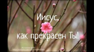 Иисус, как прекрасен Ты (+текст)