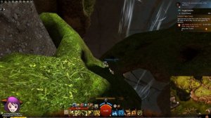 Guild Wars 2 - Tangled Depths Insight: Twisting Viaduct