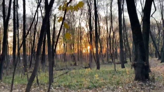 ВЛОГ: Наш день с малышкой / Гуляем смотреть онлайн