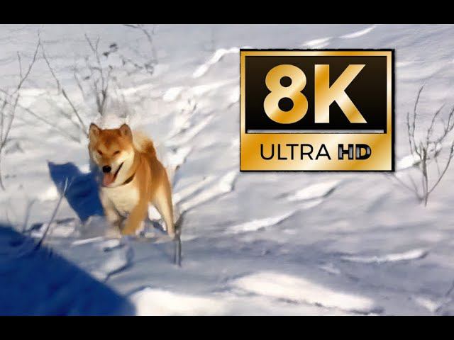 ЭТО ФИАСКО БРАТАН!  (8К UHD)
