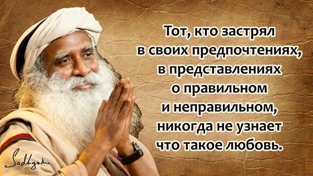 Садхгуру, Мудрые слова которые стоит послушать! Цитаты и афоризмы. смотреть онлайн