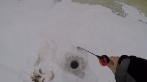 Как раскачать окуневую лунку? Ловля окуня на балансир : Рыболовный дневник