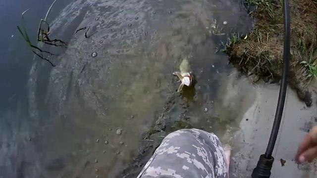 Рыбалка перед сном смотреть онлайн