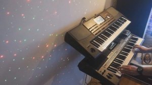 Mr. Freaky - Out Of My Mind cover Yamaha PSR S770 & Korg PA700