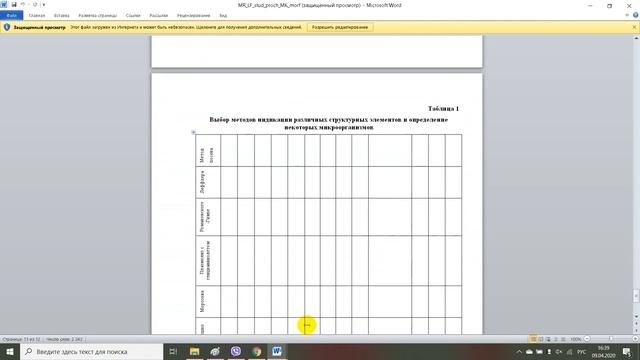 Морфология и структура прочих микроорганизмов спирохет, риккетсий, грибов, микоплазм, хламидий смотреть онлайн