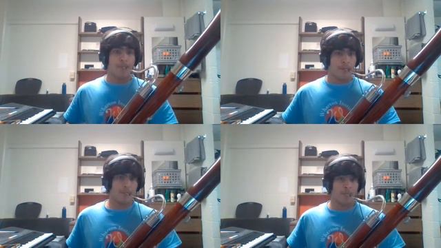 The Wellerman - Bassoon Quartet смотреть онлайн