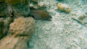 Vilamendhoo Island Resort 2021. Maldives.