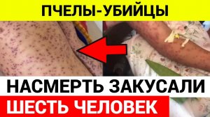 Пчелы-убийцы НАСМЕРТЬ закусали ШЕСТЬ ЧЕЛОВЕК