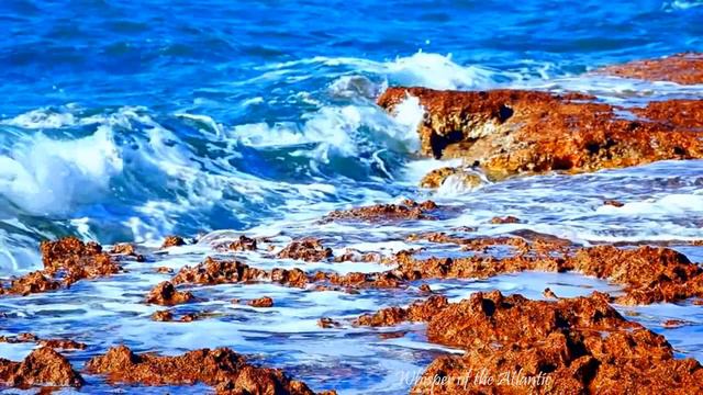 🌊🌊🌊 Whisper of the Atlantic  |  ASMR  |  Sounds for Meditation