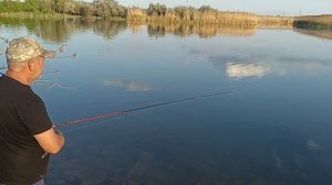 РЫБАЛКА НА ВОЛГО-ДОНСКОМ СУДОХОДНОМ КАНАЛЕ И ВЫСАДКА РАССАДЫ.