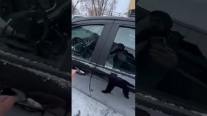 Обзор LADA VESTA седан комплектация Лайф