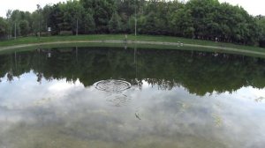 Ловлю ротана на спиннинг!