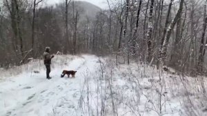 Охота на Вяхиря в Туапсе 22.12.2021