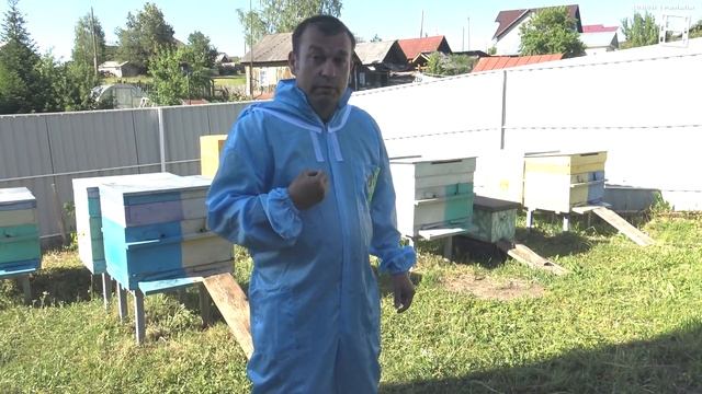 5 ЗОЛОТЫХ ПРАВИЛ ПРИ ОБРАБОТКЕ ОТ ВАРРОА ЩАВЕЛЕВОЙ КИСЛОТОЙ СУБЛИМАТОРОМ. ДЛЯ НАЧИНАЮЩИХ ПЧЕЛОВОДОВ смотреть онлайн
