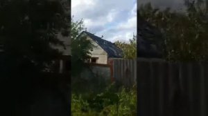 Харьковская обл. с Терновая