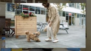 Определяем количество корма DOGMAX на одну порцию для ВАШЕЙ собаки