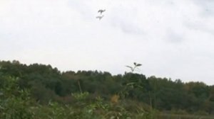 Видео про охоту