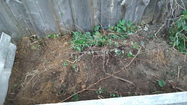 Красивые грядки из старого шифера - ЛЕГКО! Как сделать грядки из шифера. смотреть онлайн