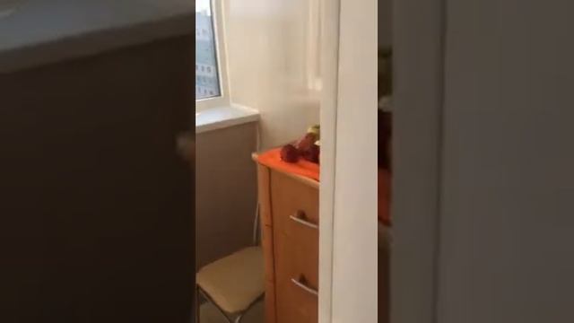 Отзыв о компании «Первые балконы»
