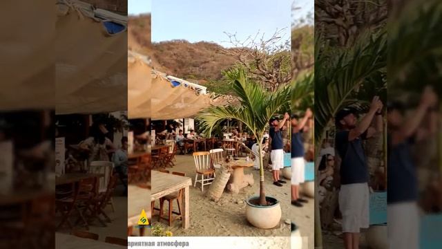 Таганга, Санта Марта, Колумбия смотреть онлайн