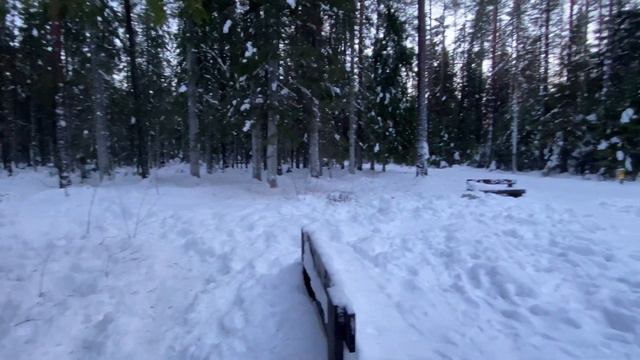 Линдуловская роща Winter forest