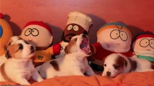 Ломать, крушить и рвать на части!