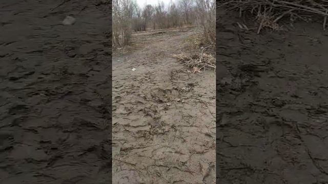 Днестр.28.02. 2021.Рыбалка на Днестре. Отдых. смотреть онлайн