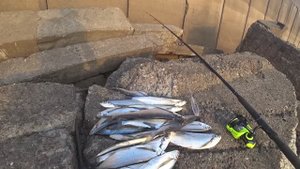 СПИНА УЖЕ БОЛИТ, А ЧЕХОНЬ ВСЕ КЛЮЕТ. ЖОР ЧЕХОНИ