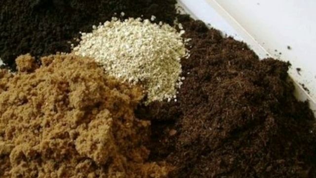 Идеальный грунт для рассады: как его приготовить, почва для рассады, компост, перегной, песок смотреть онлайн