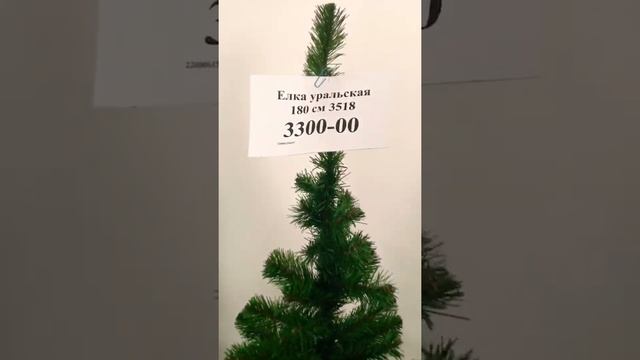 Новый год на пороге!Елки ростом с человека.Fir.Christmas trees.ЦЕНЫ на ёлки в 2021 году.