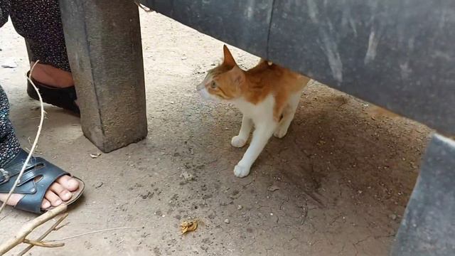 TÜM YÖNTEMLERİ DENEDİM EN KOLAYI BUYMUŞ EN KOLAY VE PRATİK İŞKEMBE NASIL TEMİZLENİR ? смотреть онлайн