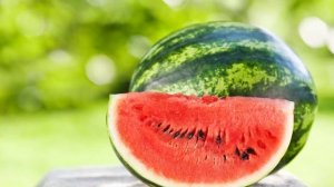 Интересные Факты об Арбузе