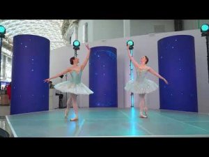 AtomExpo 2024. Fugue on Gas Centrifuge