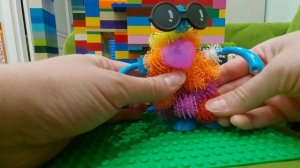 Друзья репейные липучки