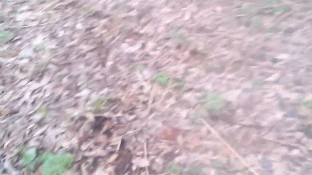 2 часть Ищим сорочьи гнезда смотреть онлайн