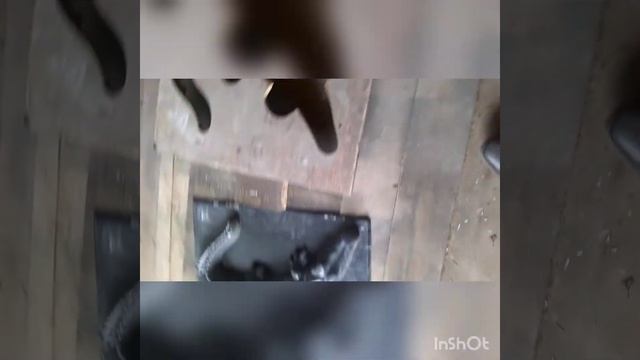 Форма для отливки из бетона КРОКОДИЛ. смотреть онлайн