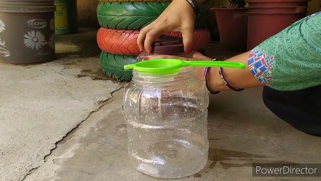 How to Make Best Natural Fertilizer for any Plant at Home || Use of Onion Peel for Plants смотреть онлайн